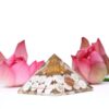 Gomti Chakra Orgone Pyramid