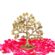 Kalpavriksha Tree