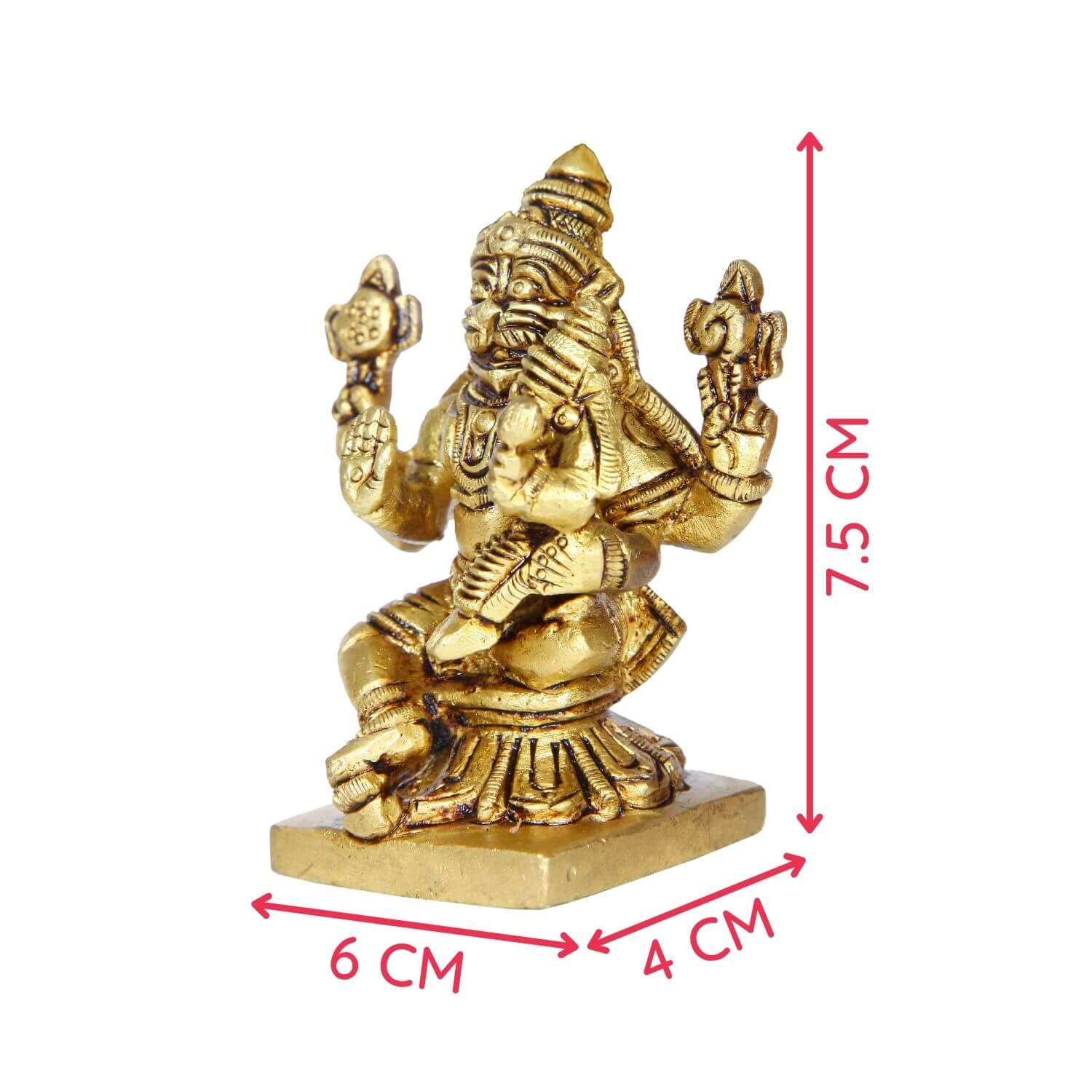 Narasingha Idol Without Nag