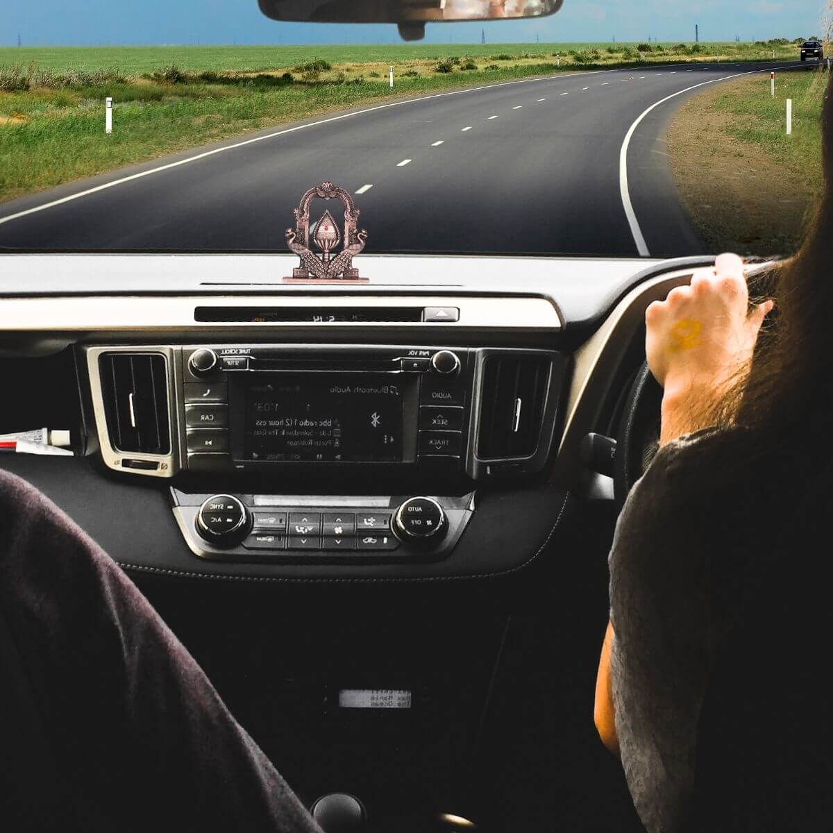 Car Dashboard Accessories Vel Copper