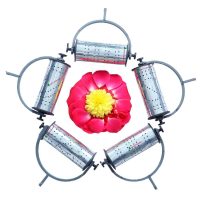Rangoli Roller Steel Big
